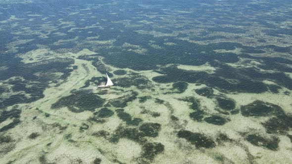Boats in the Ocean Near the Coast of Zanzibar Tanzania Slow Motion alt