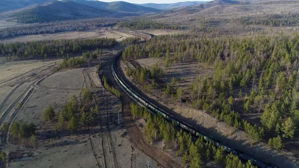 Arctic Forest Through Which Railway Was Laid for the Export of Coal From Deposit to Consumers
