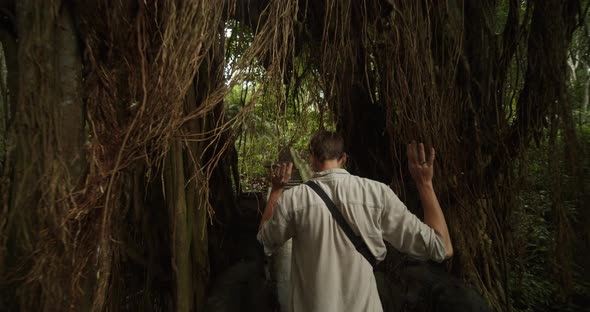Dolly Shot of a Young Explorer Walking Through the Vines of an Exotic Tree in a Tropical Forest alt