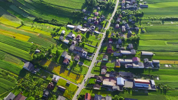 Aerial View of Decorative Ornaments of Diverse Green Fields and Houses Arranged in a Line Along the alt