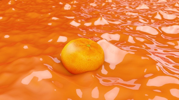 Orange Floating In Juice alt
