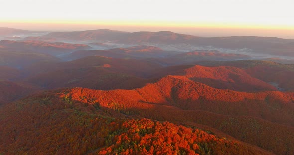 Landscape Forest Valley with Autumn on Sunrise Morning alt