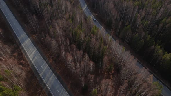Curve of highway road between deep forest