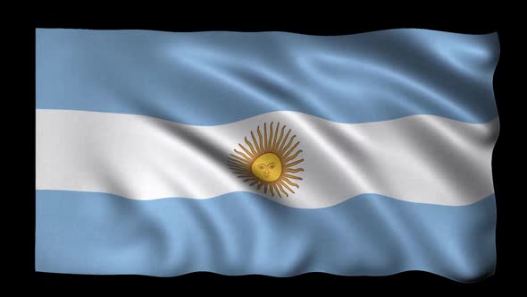 Cotton Fabric Argentina Flag