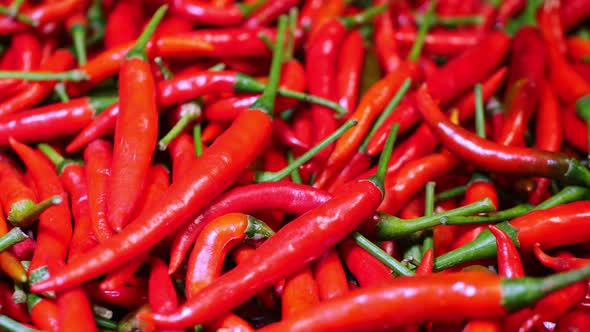 Ripe red chillies, spices of Thailand for cooking