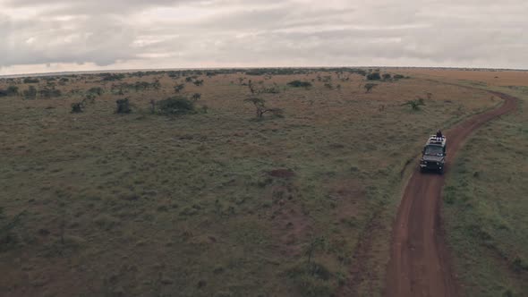 Woman sitting on top of 4 wheel drive while on wildlife safari adventure in Kenya. Aerial drone view alt
