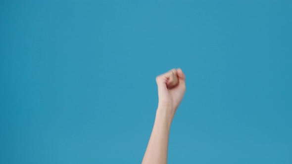 Young woman showing hand palm clenched fist and knock isolated over blue background in studio.