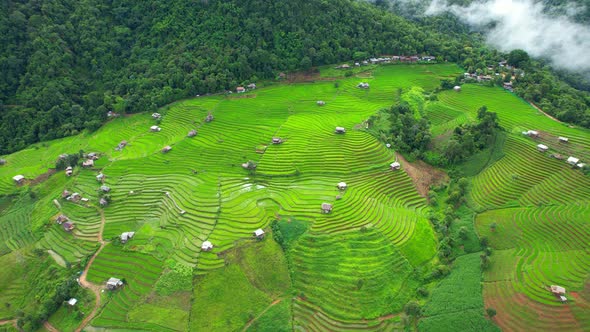 Drone flying over green rice terraces field in countryside alt