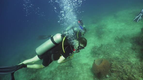 Scuba Divers Underwater alt