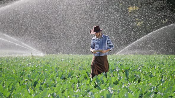 Farmer Using Digital Tablet During Monitoring His Plantation alt