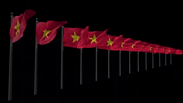 Row Of Vietnam Flags With Alpha 2K  alt