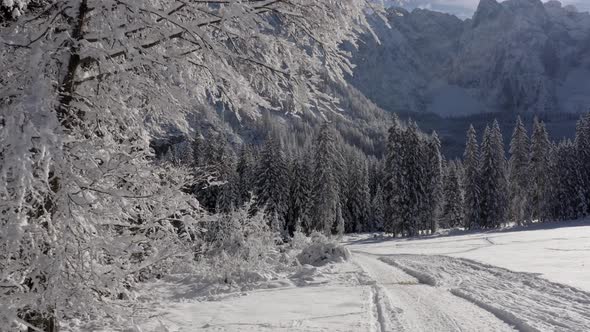 Winter landscape in the Italian Alps, Friuli Venezia Giulia alt