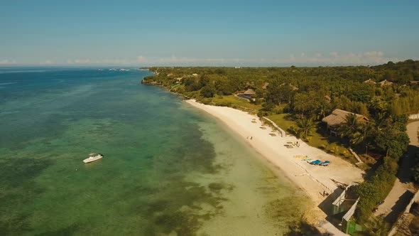 Tropical Beach and Turquoise Sea Philippines,Bohol alt
