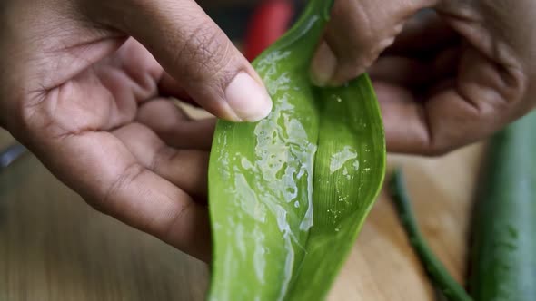 Opening Aloe Vera leaf showing gel inside of latex alt