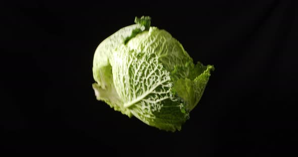 Green Beijing Cabbage. Tossing. Alpha Channel