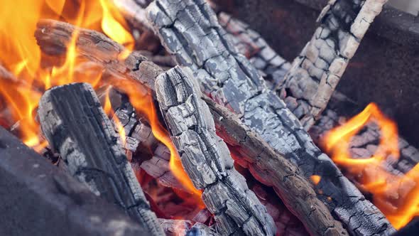 Fire at Bonfire in the Dark alt