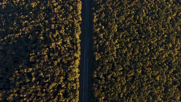 Aerial Top View Over Straight Road With Cars in Colorful Countryside Autumn Forest alt