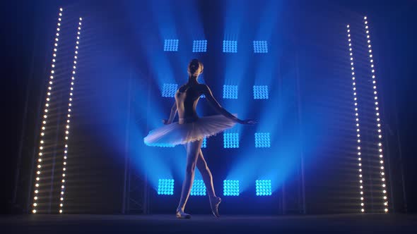 Creative Female Choreographer Setting a Ballet Performance, Dancing and Doing Various Moves in the alt