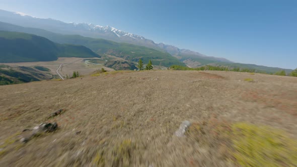 Aerial View Natural Landscape Hilly Terrain Covered By Dense Forest Spruce Trees and Autumn Grass alt
