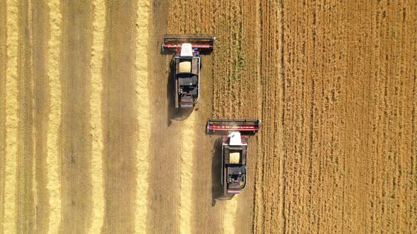 Combines in the field aerial view