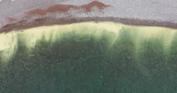 Polluted Water Near the Shore