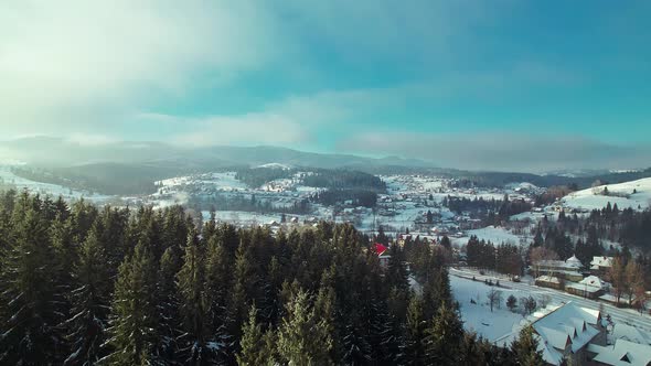 Sunny Winter Landscape