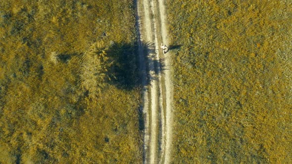 Adult Sportsman Runner Running on Coutryside Road. Top View Aerial Dron Footage.