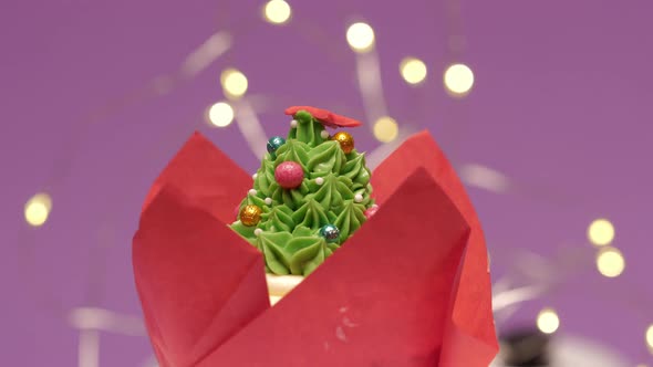 Christmas Cupcake Decorated with Sugar Sprinkles