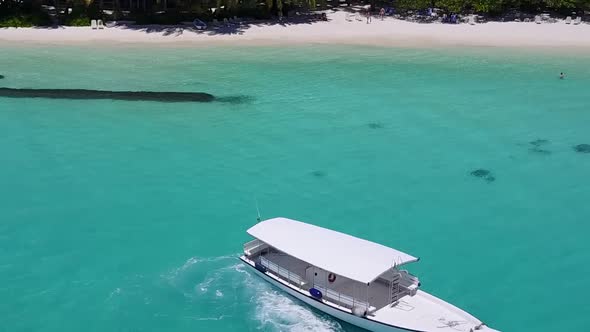 Drone tourism of tourist beach wildlife by blue ocean and sand background alt