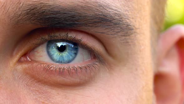 Beautiful Blinking Male Eye Closeup alt