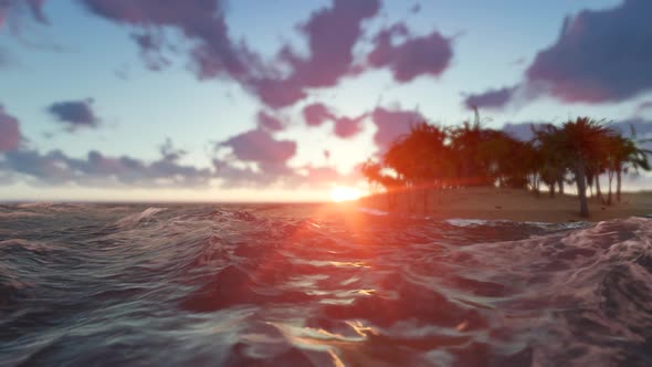 Ocean Palm Island Sunset