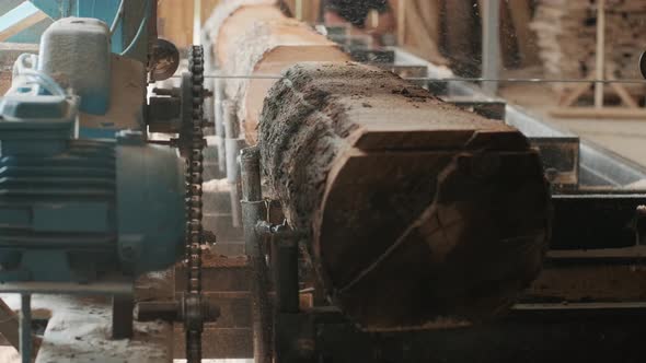 Closeup of cut pine tree log on sawing machine at wood production factory.