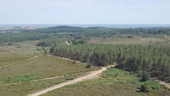 Beautiful nature landscape from the sky in Woodbury in East Devon, England. alt