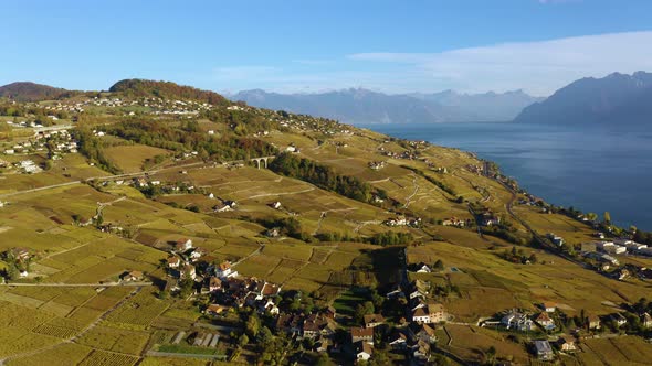High aerial orbit around Savuit village in Lavaux vineyard, SwitzerlandLake Léman and the Alps in t alt