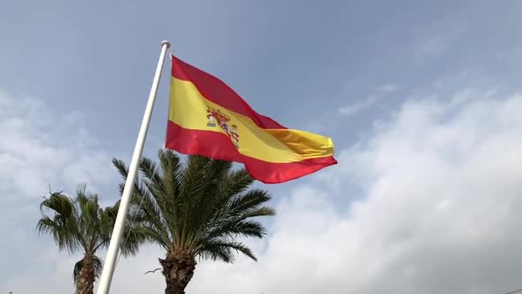 Slow motion Spain Spanish flag flying in the wind with a palm tree clouds and birds in the back