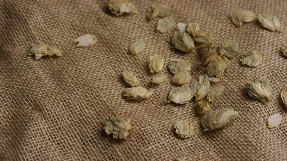 Rotating shot of barley and other beer brewing ingredients - BEER BREWING 261 alt