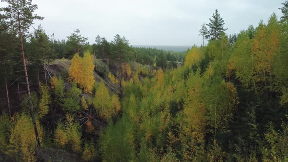Aerial view of wild ravines overgrown with trees.