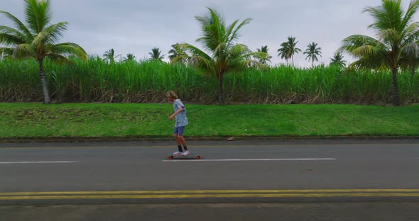 Aerial View of the Road with Palm Trees alt