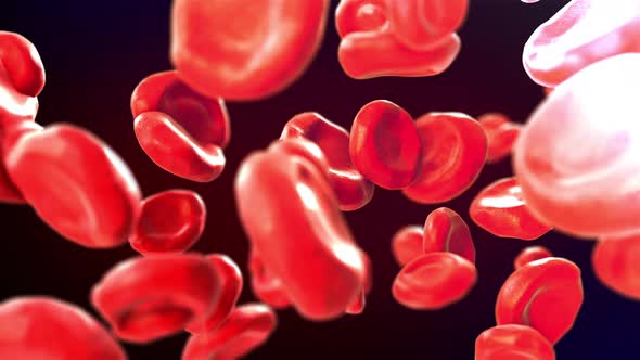 Blood Cells Flow Animation Slow Motion, Motion Graphics | VideoHive