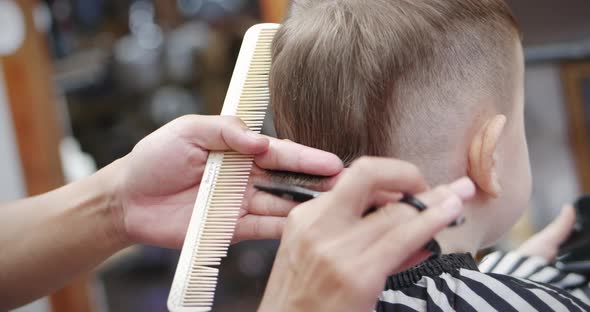 Little Boy Is Watching a Cartoon on a Smartphone While the Master Makes His Haircut. Stylist in a alt