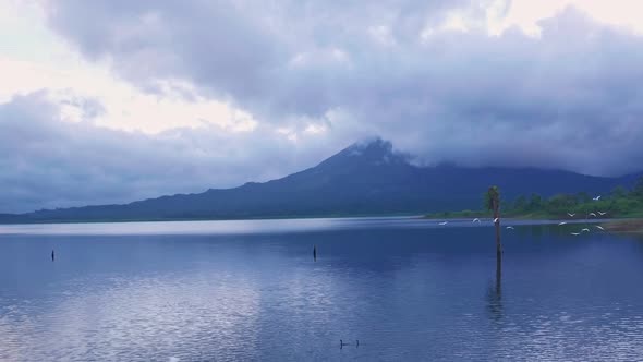 White Cranes flying at Arenal Lake near La Fortuna, Costa Rica. Aerial drone view alt