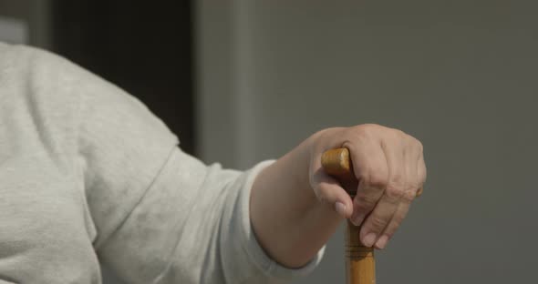 Hands On Walking Stick a Concept Of Care alt