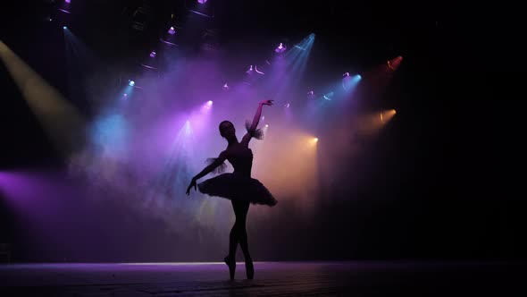 Graceful hard-working ballerina dancing i in spotlight. Silhouette Diligent ballet dancer performing