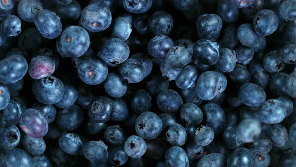 Super Slow Motion Shot of Flying and Rotating Fresh Blueberries at 1000Fps alt