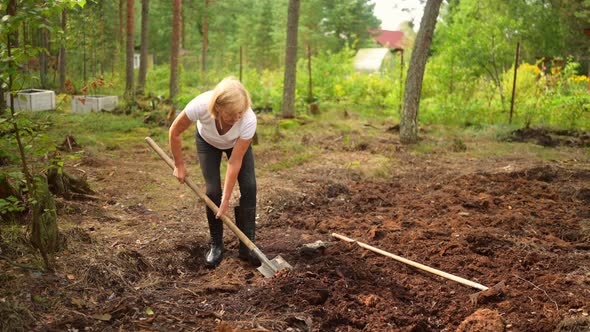 Senior Gardener Woman Falls Hurts Back Pain Radiculitis Digging at Summer Farm Countryside Outdoors