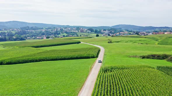 Cinematic drone view of single car driving through incredible green rural landscape in lonely road alt