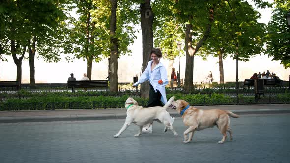 Young Stylish Hipster Girl Running and Playing with Two Retriever Dogs in City Center Park Slow alt