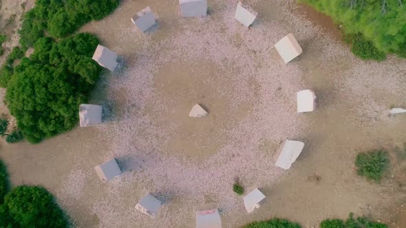 Crown of Limenaria alt