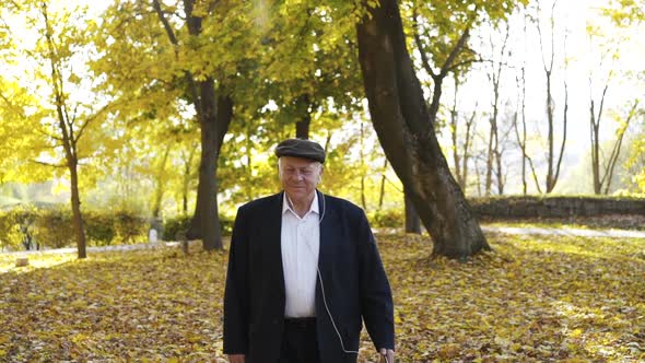 Joyful Senior Man Walking on Autumn Park and Talking on Phone Through Earphones alt