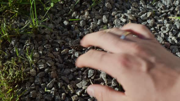 Feeling garden gravel stone with soil removing roots alt